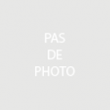 Pommier Topred - scion de 1 an en  poche de terreau (H : 120 cm)