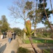 Jardin des plantes de Paris en avril.