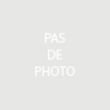 Litchi - scion de 1 an en  poche de terreau (H : 120 cm)